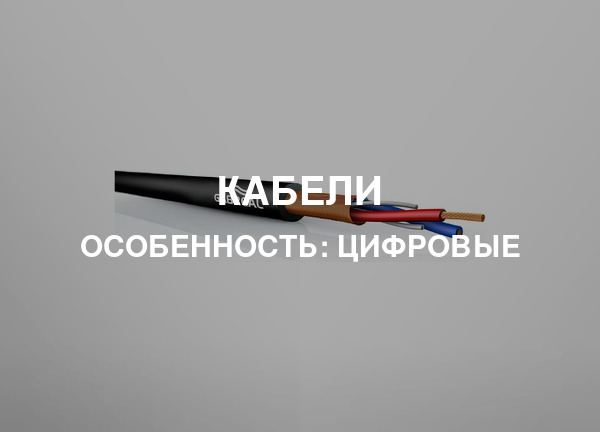 Особенность: Цифровые