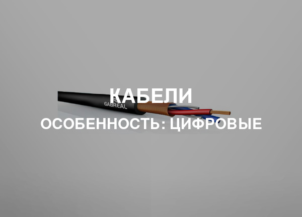 Особенность: Цифровые